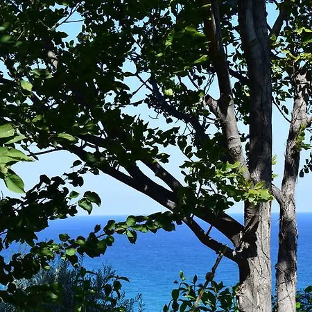 Isabel Artemis * Chorefton