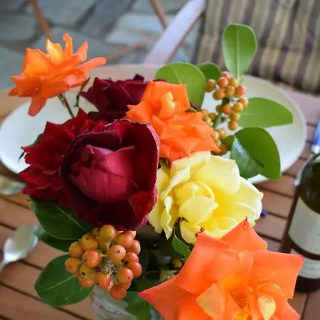 Appartamento Isabel Artemis *