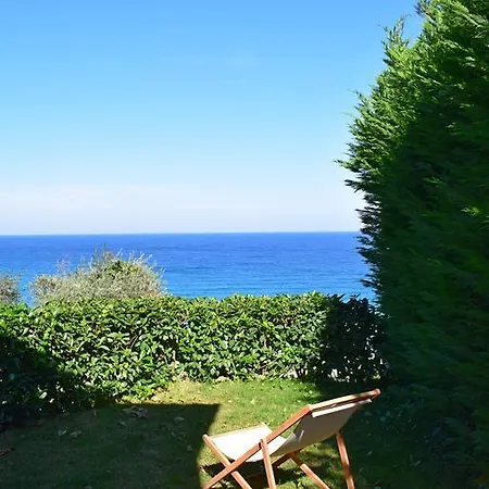 Isabel Artemis חורפטו