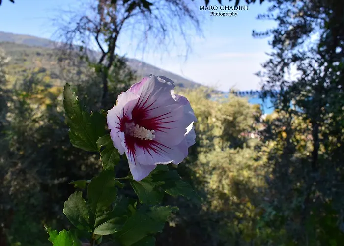 Lägenhet Isabel Artemis Chorefton