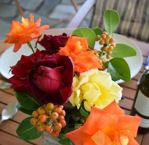 Apartament Isabel Artemis *